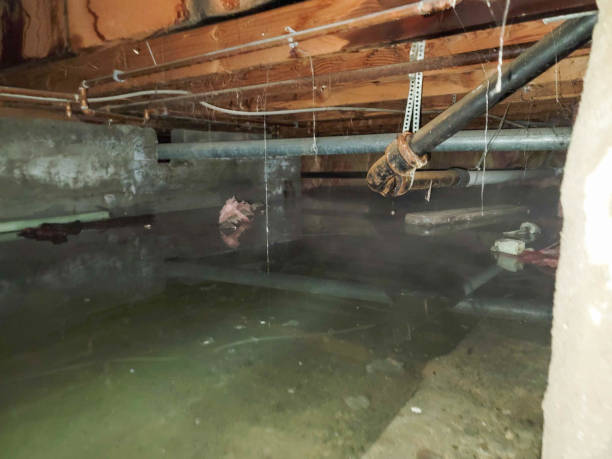Aberdeen, MD Water damage restoration Company