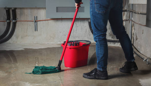 Best Sewage cleanup and water damage restoration  in Aberdeen, MD