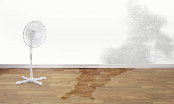 Water damage restoration mold remediation in Aberdeen, MD