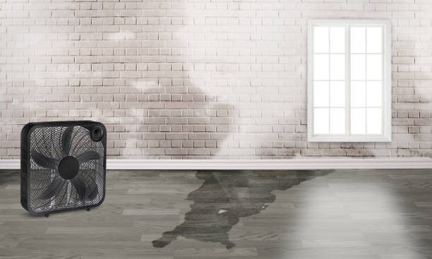 Best 24/7 water damage repair  in Aberdeen, MD