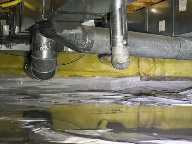 Best Water damage contractors near me  in Aberdeen, MD