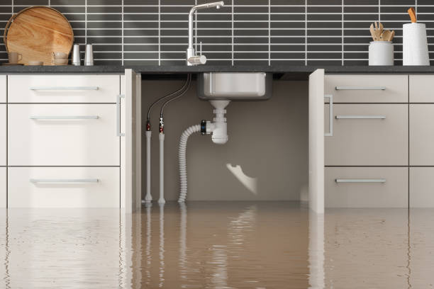 Best Water damage restoration mold remediation  in Aberdeen, MD