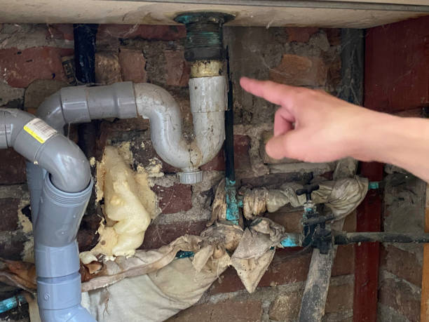 Best Basement water damage restoration  in Aberdeen, MD